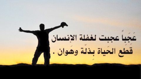 صور مطلوب من الجزائر أو أي دولة عربية للتعارف أو الصداقة أو الحب بشاب عربي 3
