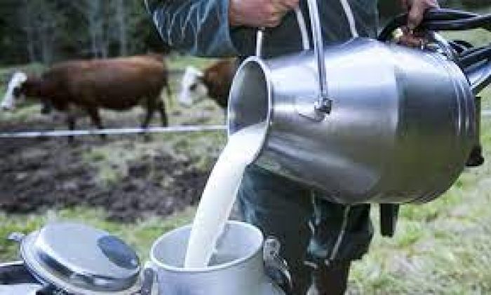 فرصة استثمارية في مشروع تربية المواشي وإنتاج الحليب في تركيا 3